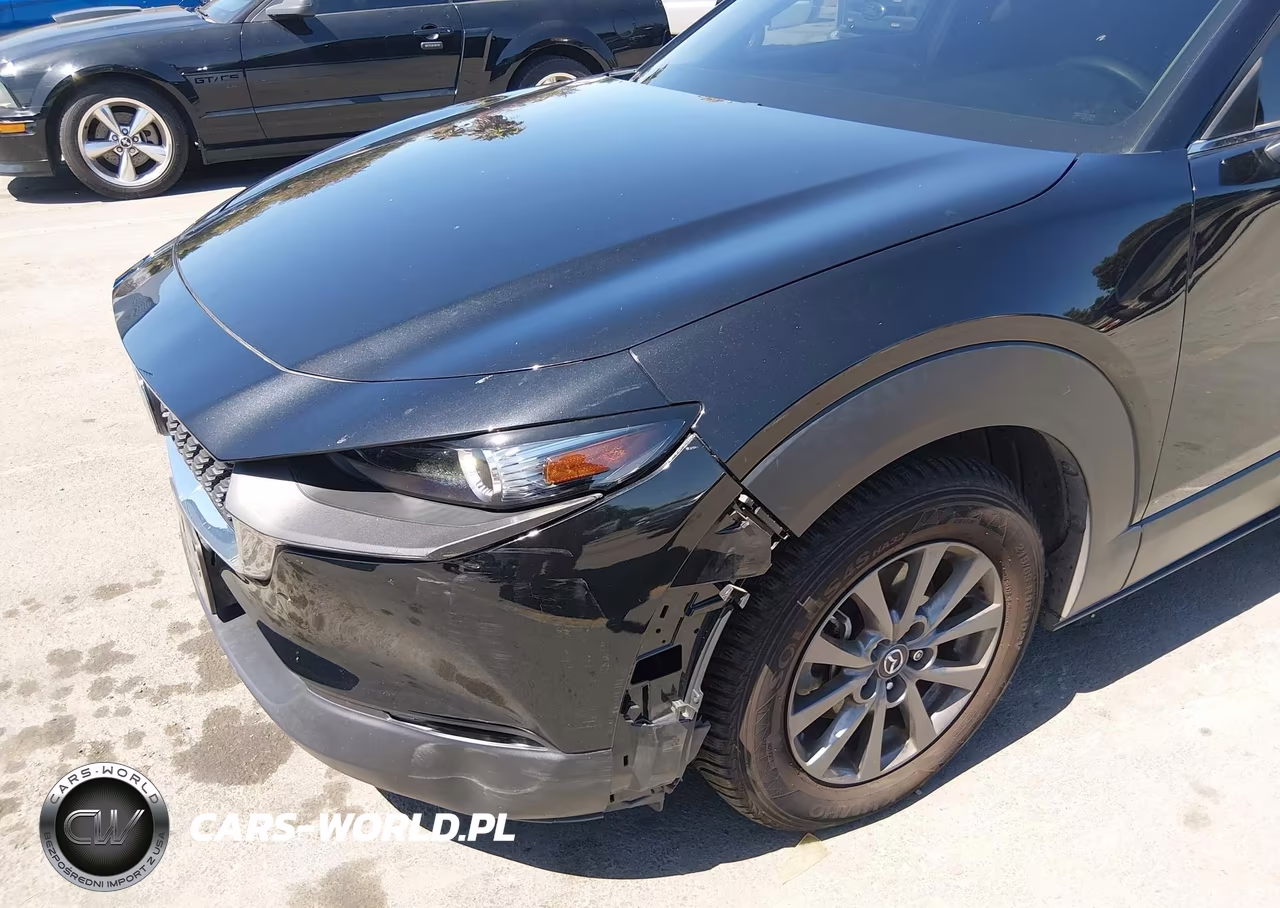 2023 Mazda Cx-30 2.5 S VIN:3MVDMBAM3PM555548 - 18