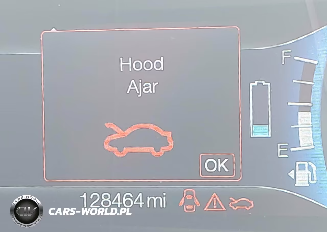 2017 Ford Fusion Hybrid Titanium VIN:3FA6P0RU5HR371927 - 16