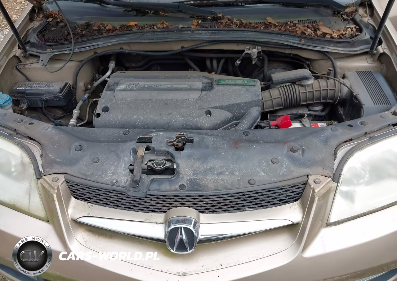 2002 Acura Mdx VIN:2HNYD18202H514264 - 10