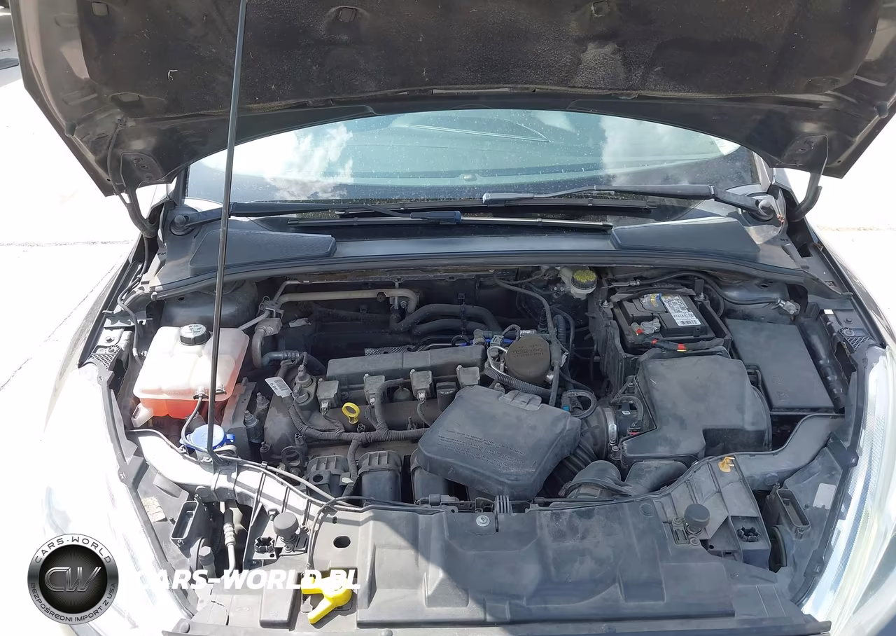 2015 Ford Focus Titanium VIN:1FADP3J28FL334031 - 10