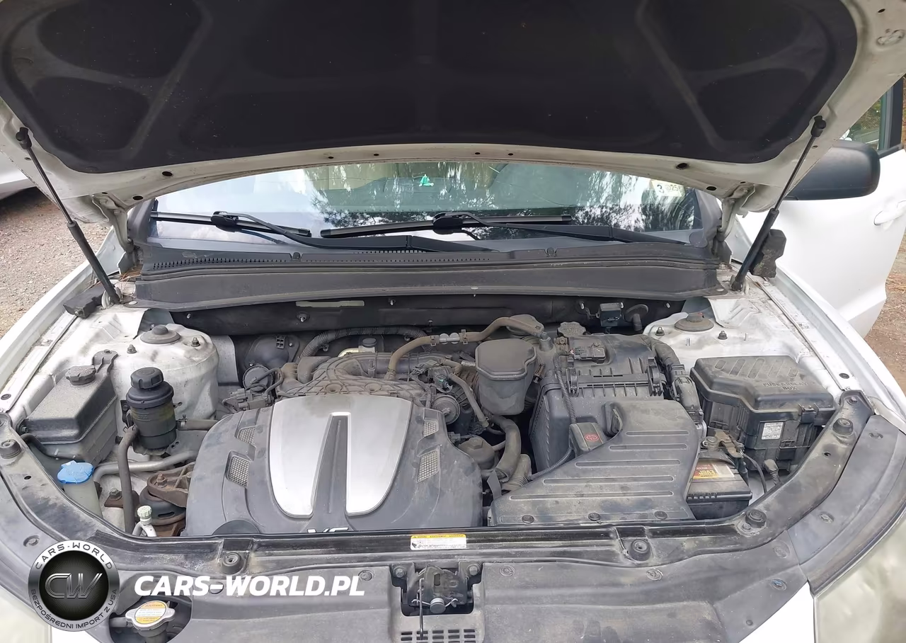 2011 Hyundai Santa Fe Gls V6 VIN:5XYZGDAG9BG020928 - 10