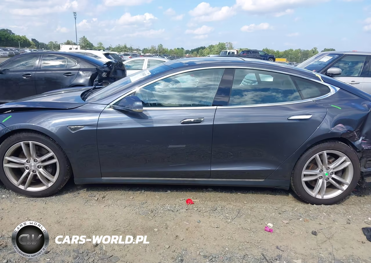 2016 Tesla Model S 60D-70D-75D-85D-90D VIN:5YJSA1E25GF130731 - 14