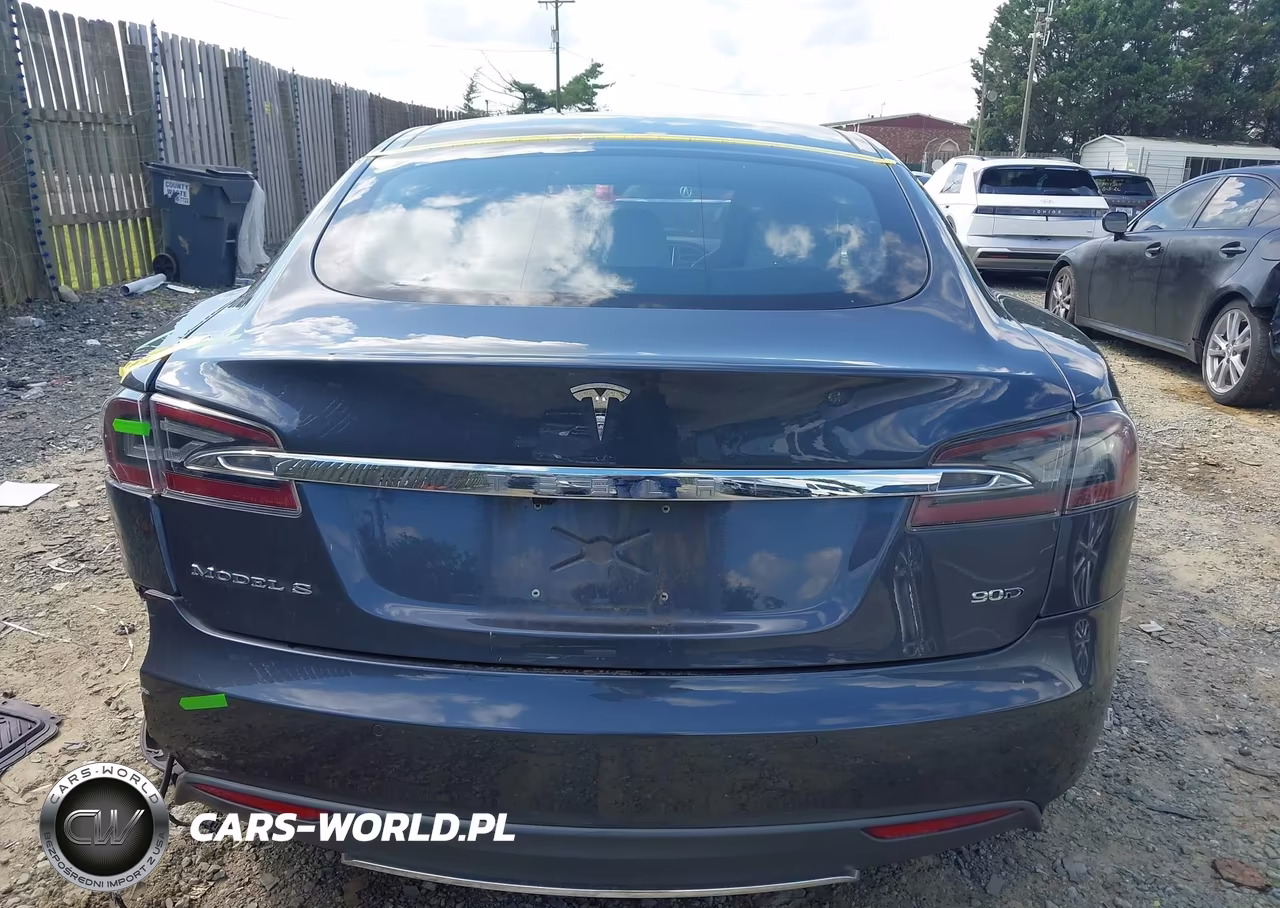 2016 Tesla Model S 60D-70D-75D-85D-90D VIN:5YJSA1E25GF130731 - 16
