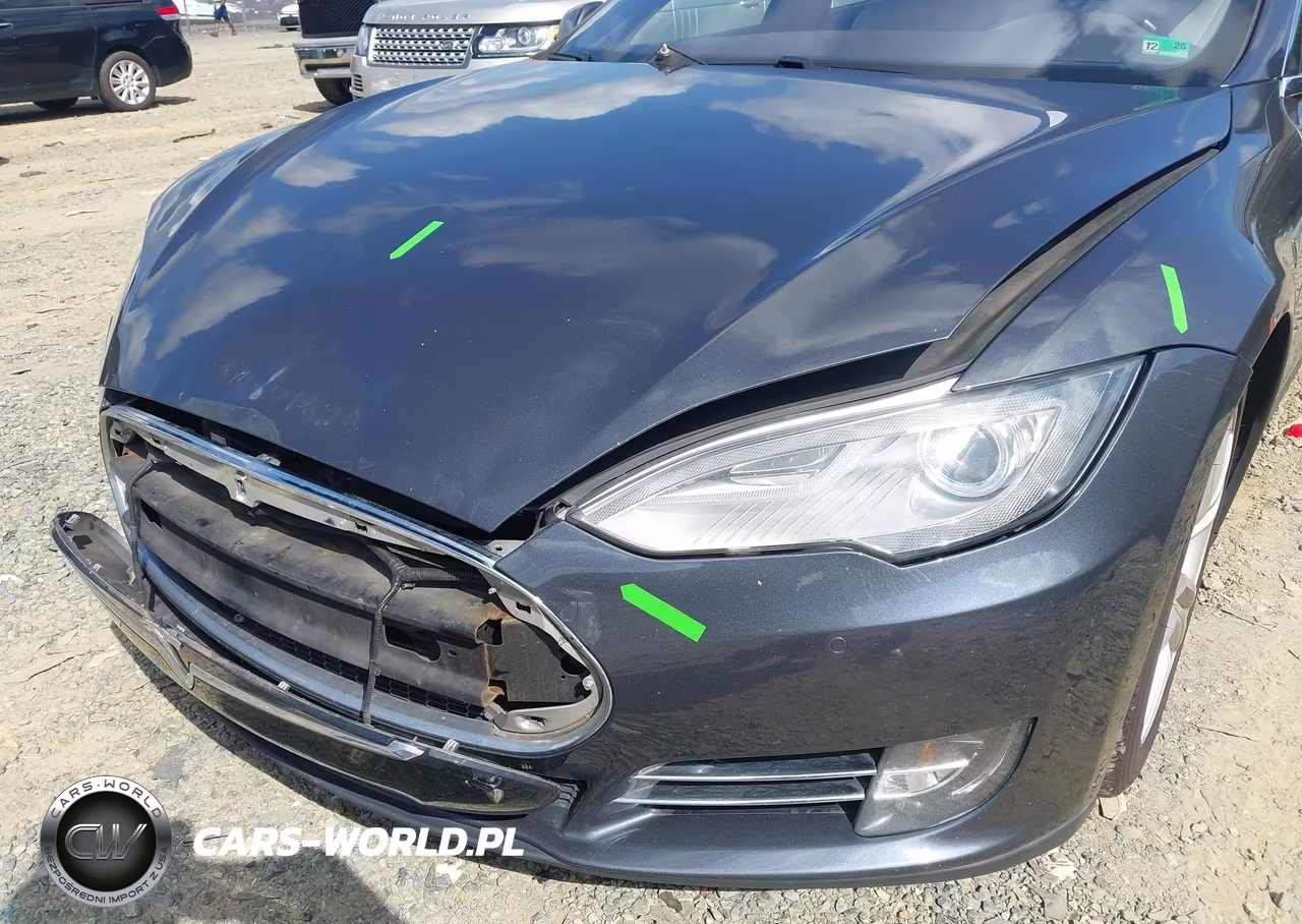 2016 Tesla Model S 60D-70D-75D-85D-90D VIN:5YJSA1E25GF130731 - 6