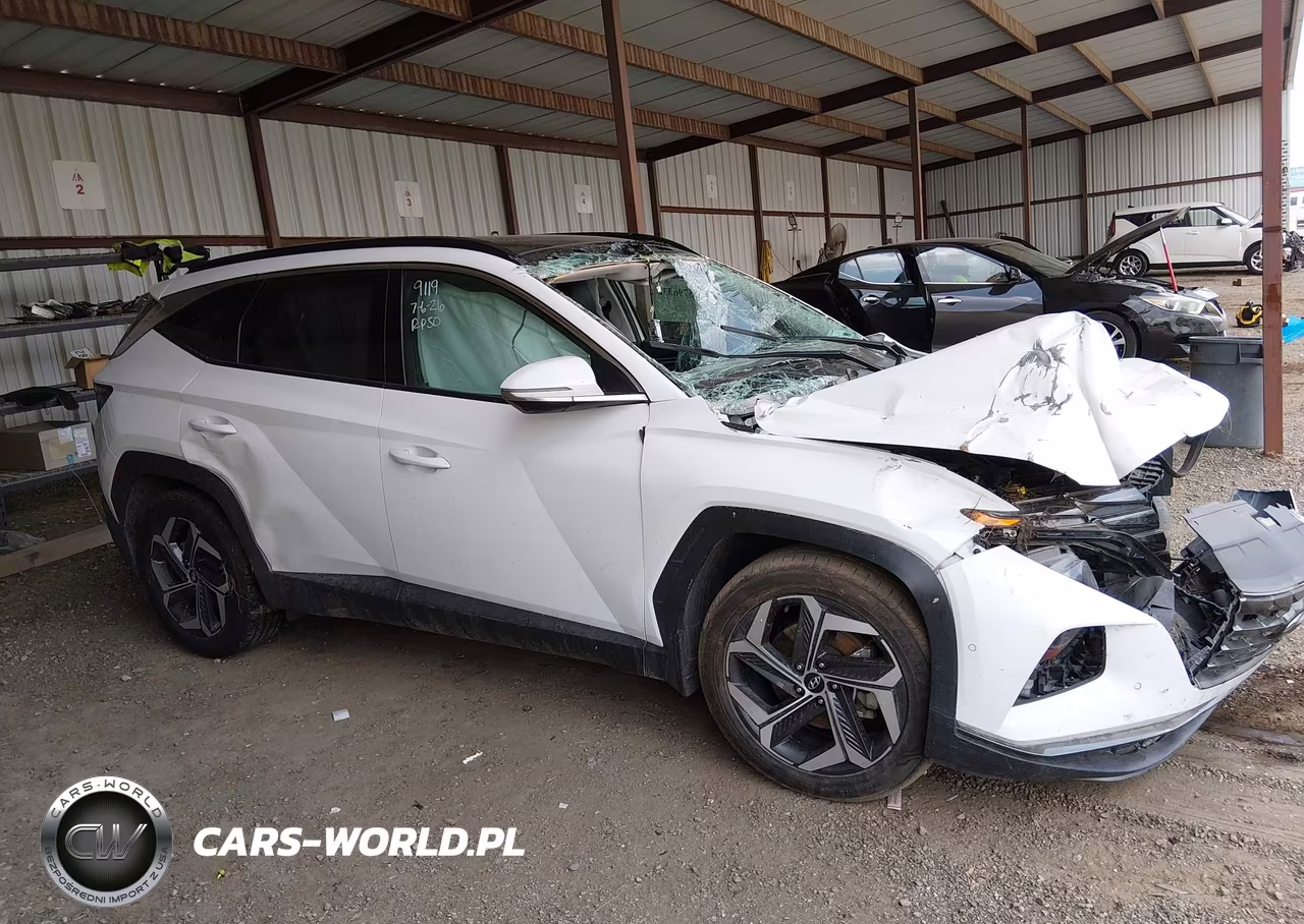 2023 Hyundai Tucson Limited VIN:5NMJE3AE8PH240408 - 14
