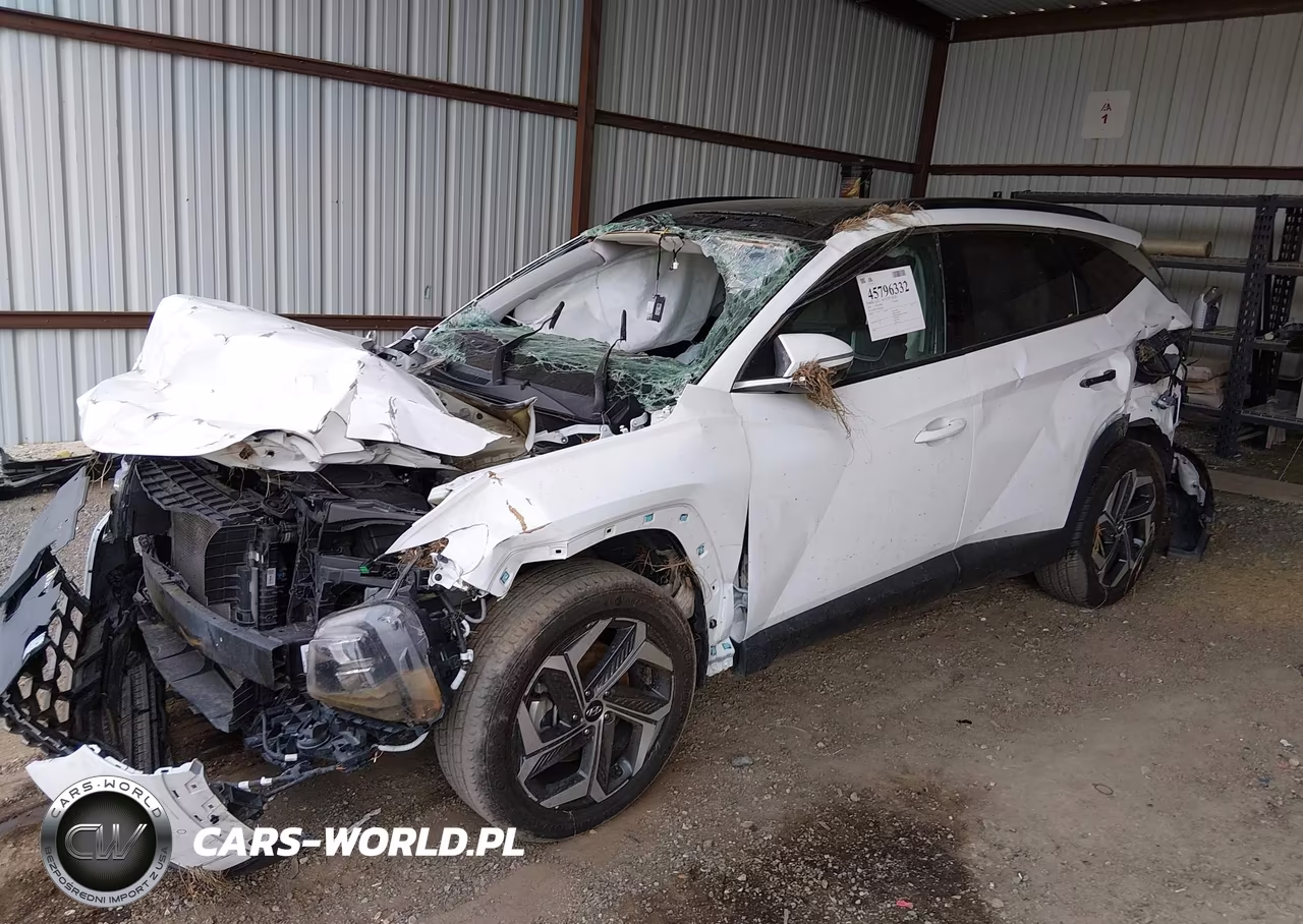 2023 Hyundai Tucson Limited VIN:5NMJE3AE8PH240408 - 2