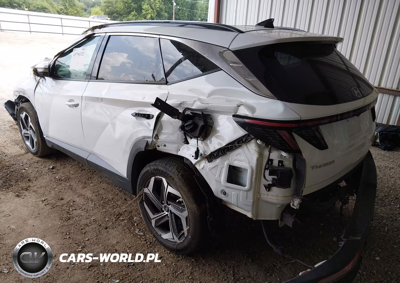 2023 Hyundai Tucson Limited VIN:5NMJE3AE8PH240408 - 3