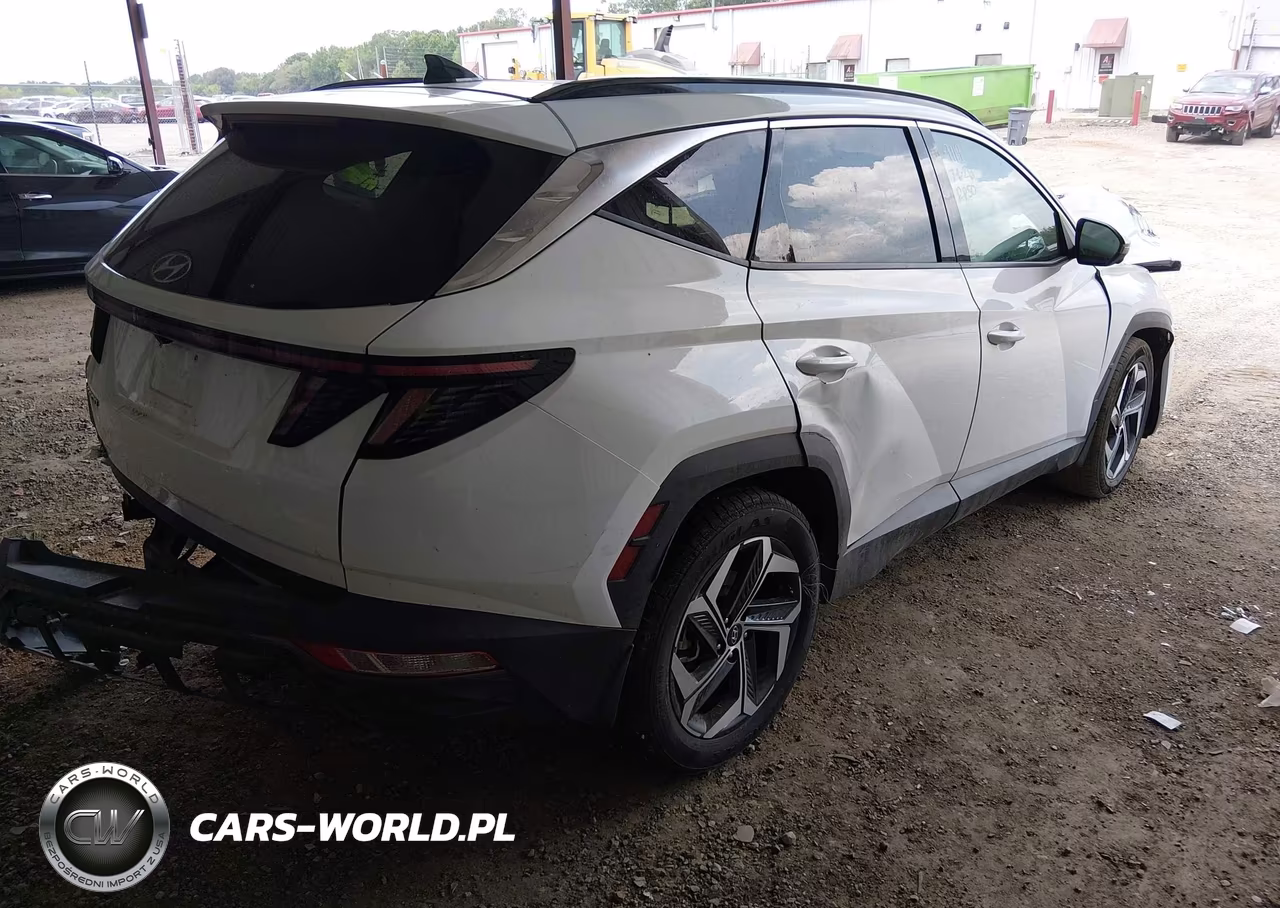 2023 Hyundai Tucson Limited VIN:5NMJE3AE8PH240408 - 4