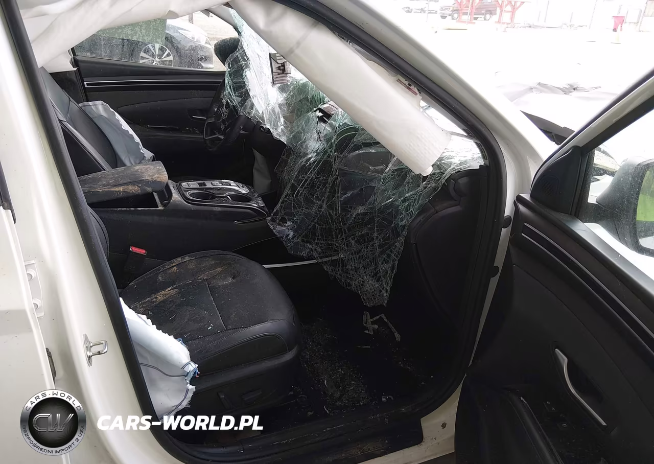 2023 Hyundai Tucson Limited VIN:5NMJE3AE8PH240408 - 5