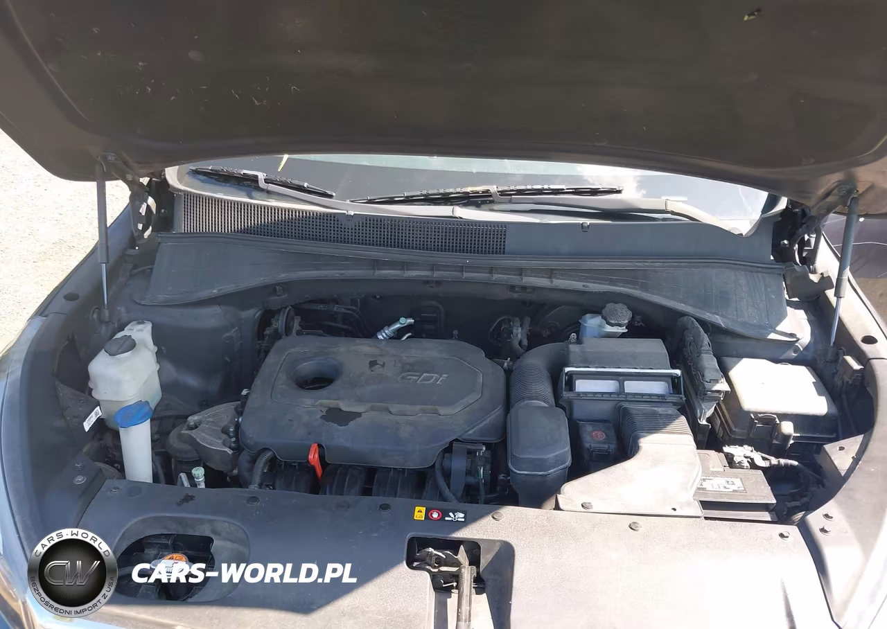 2017 Kia Sorento 2.4L Lx VIN:5XYPGDA39HG327982 - 10