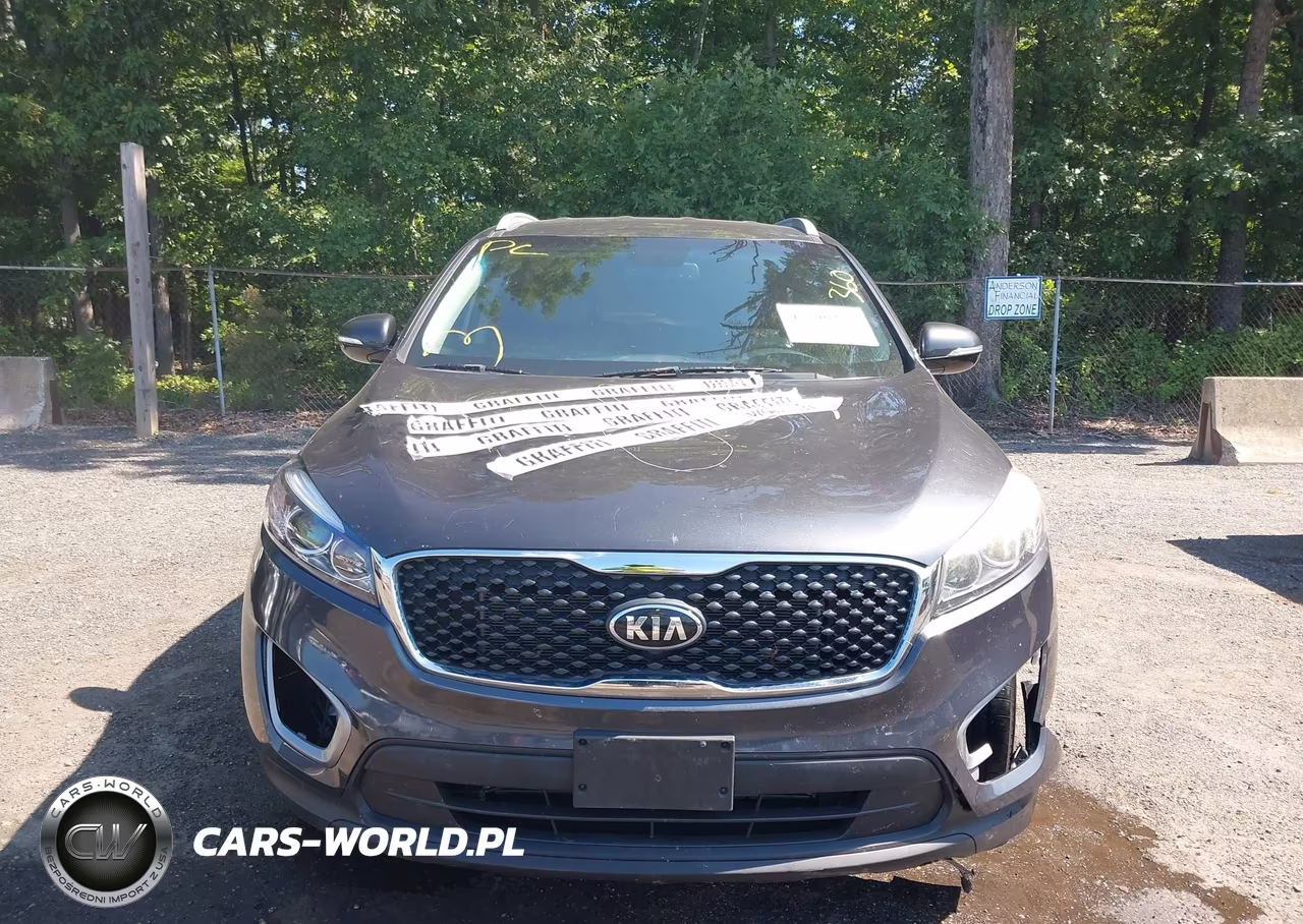 2017 Kia Sorento 2.4L Lx VIN:5XYPGDA39HG327982 - 12