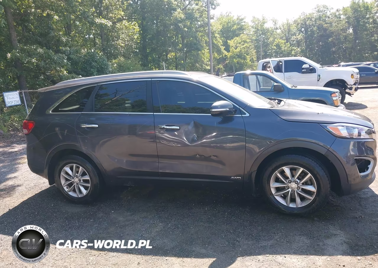 2017 Kia Sorento 2.4L Lx VIN:5XYPGDA39HG327982 - 13