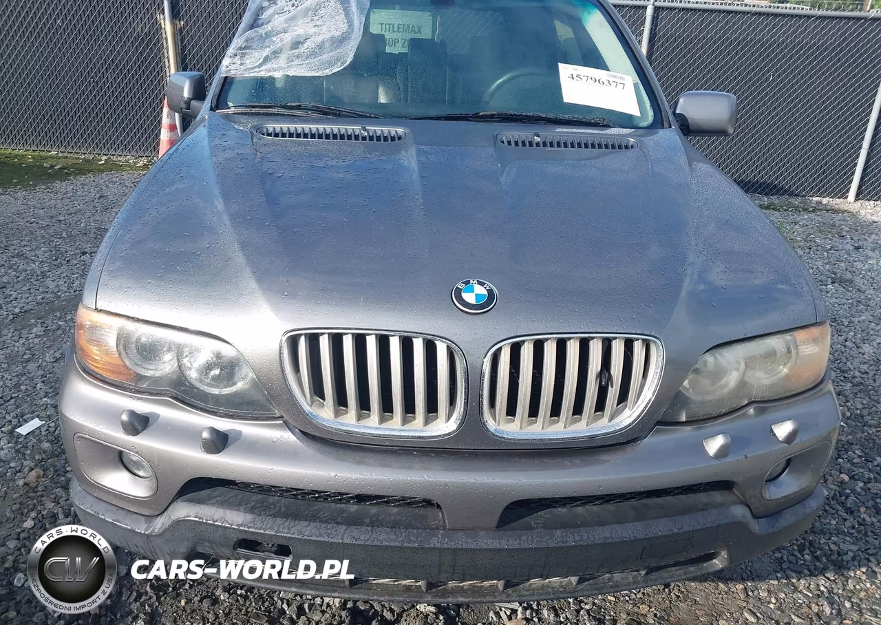2004 BMW X5 4.4I VIN:5UXFB53594LV08060 - 10