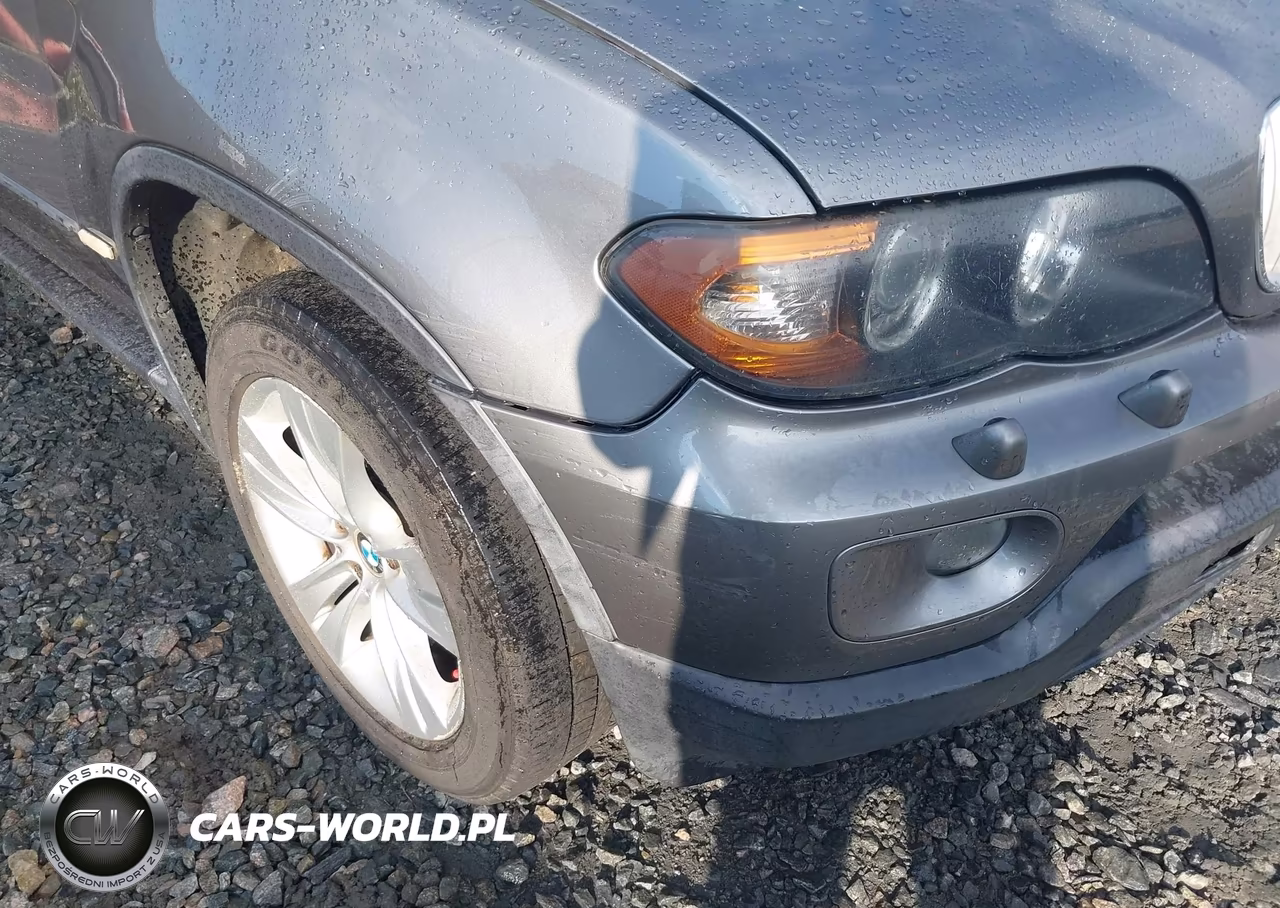 2004 BMW X5 4.4I VIN:5UXFB53594LV08060 - 12