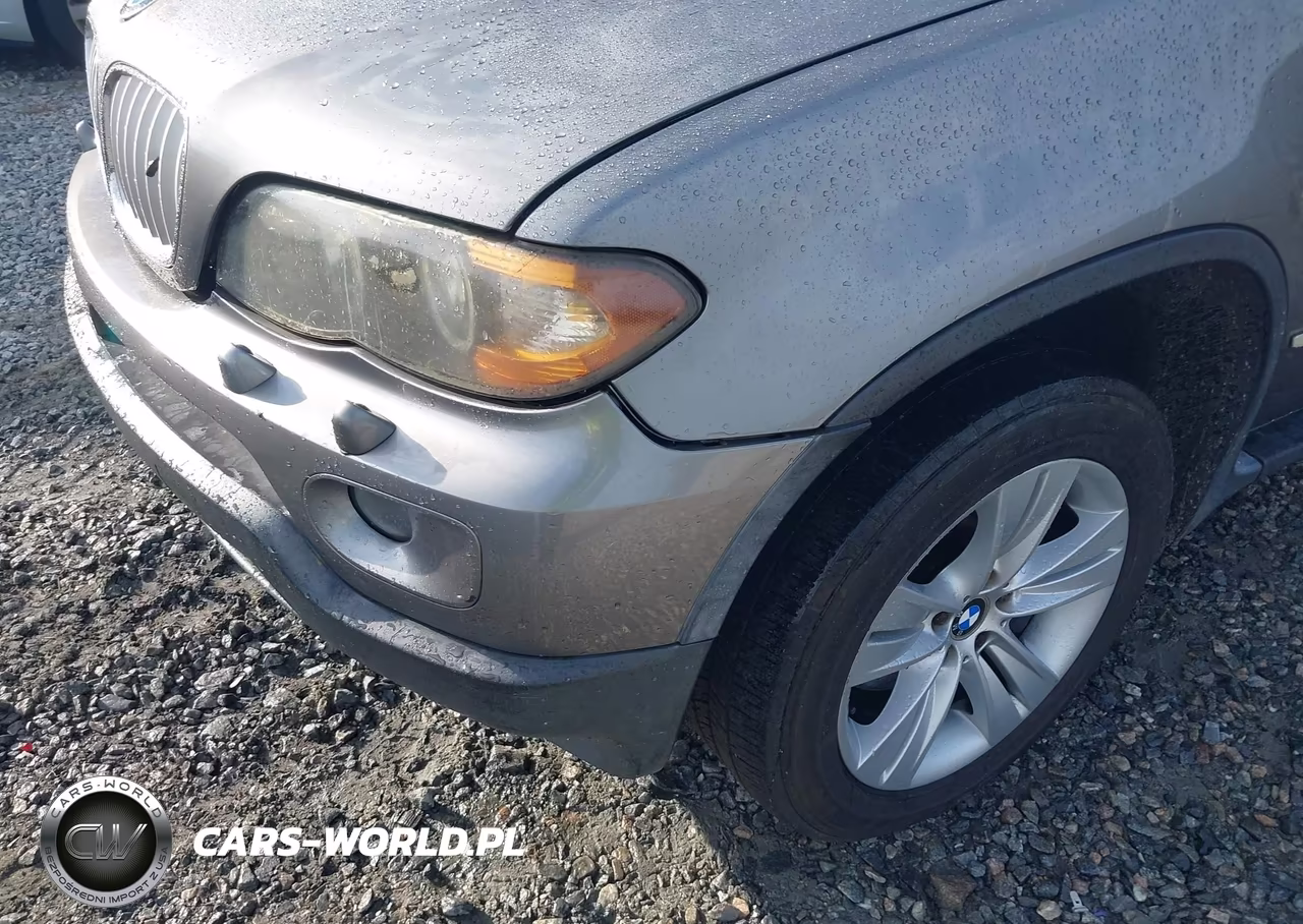 2004 BMW X5 4.4I VIN:5UXFB53594LV08060 - 6
