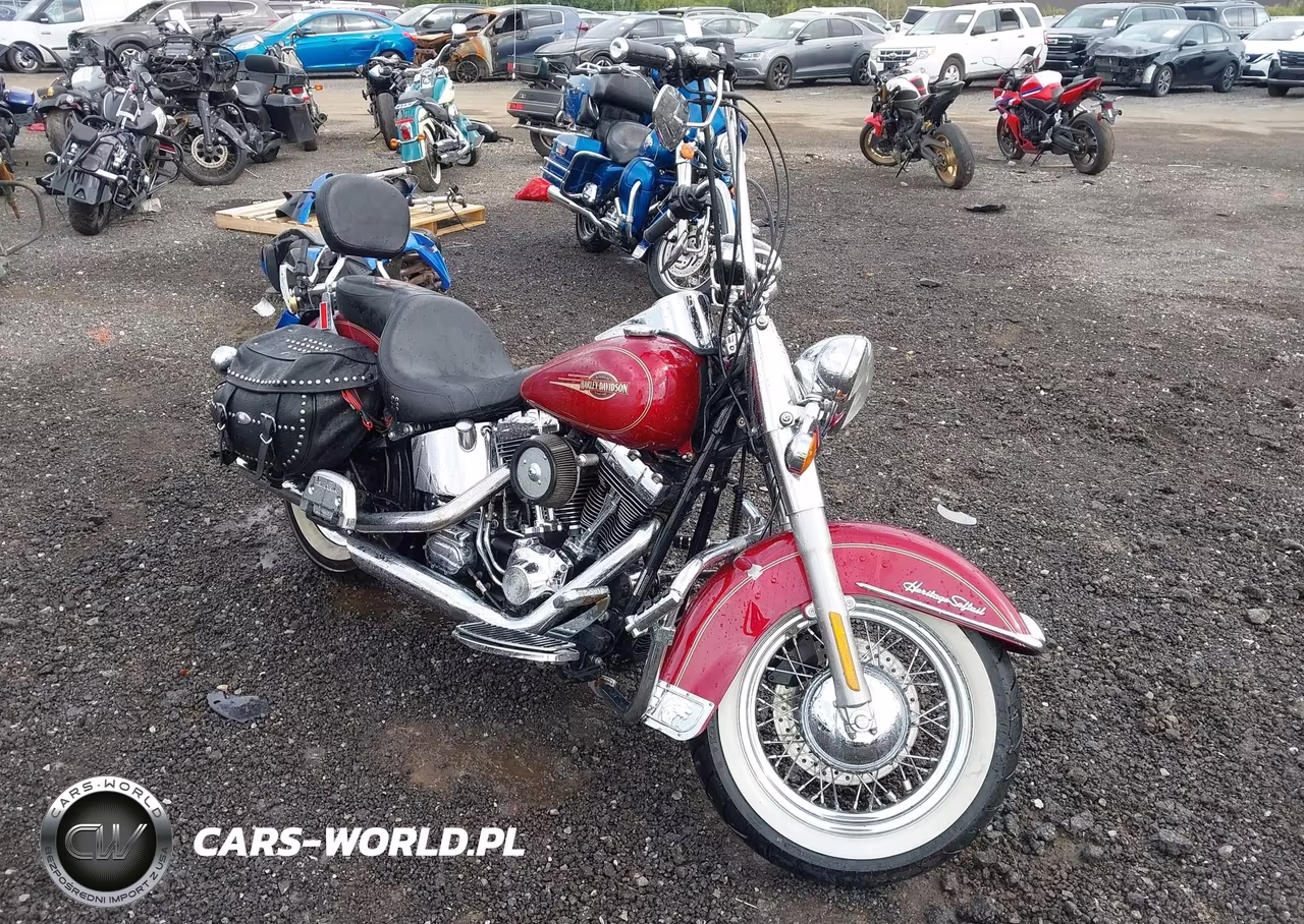 2005 Harley-Davidson Flstci