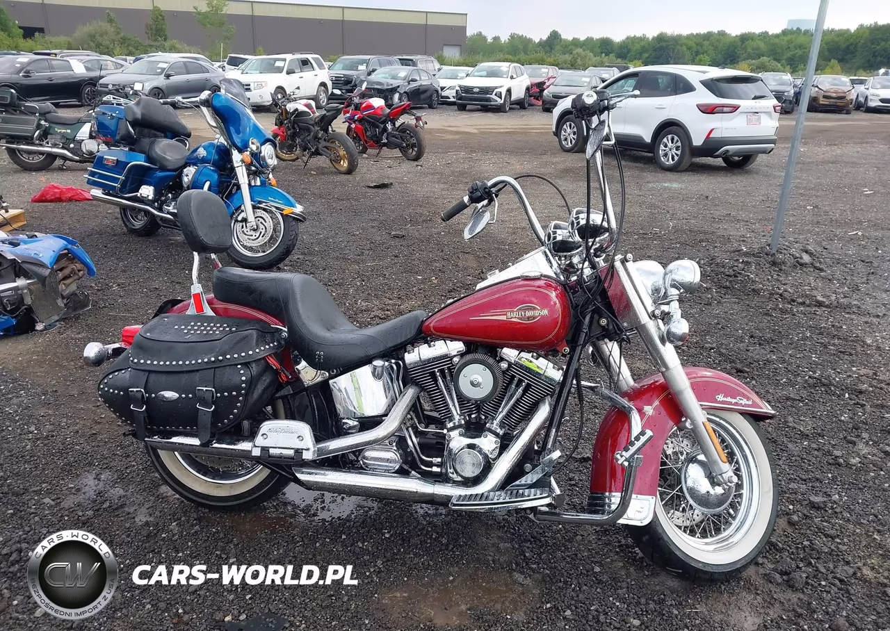 2005 Harley-Davidson Flstci VIN:1HD1BWB1X5Y081197 - 12