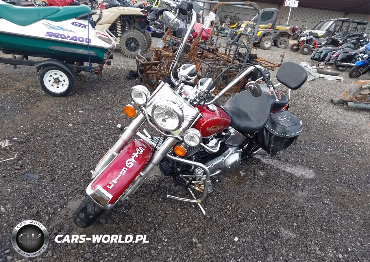 2005 Harley-Davidson Flstci VIN:1HD1BWB1X5Y081197 - 2