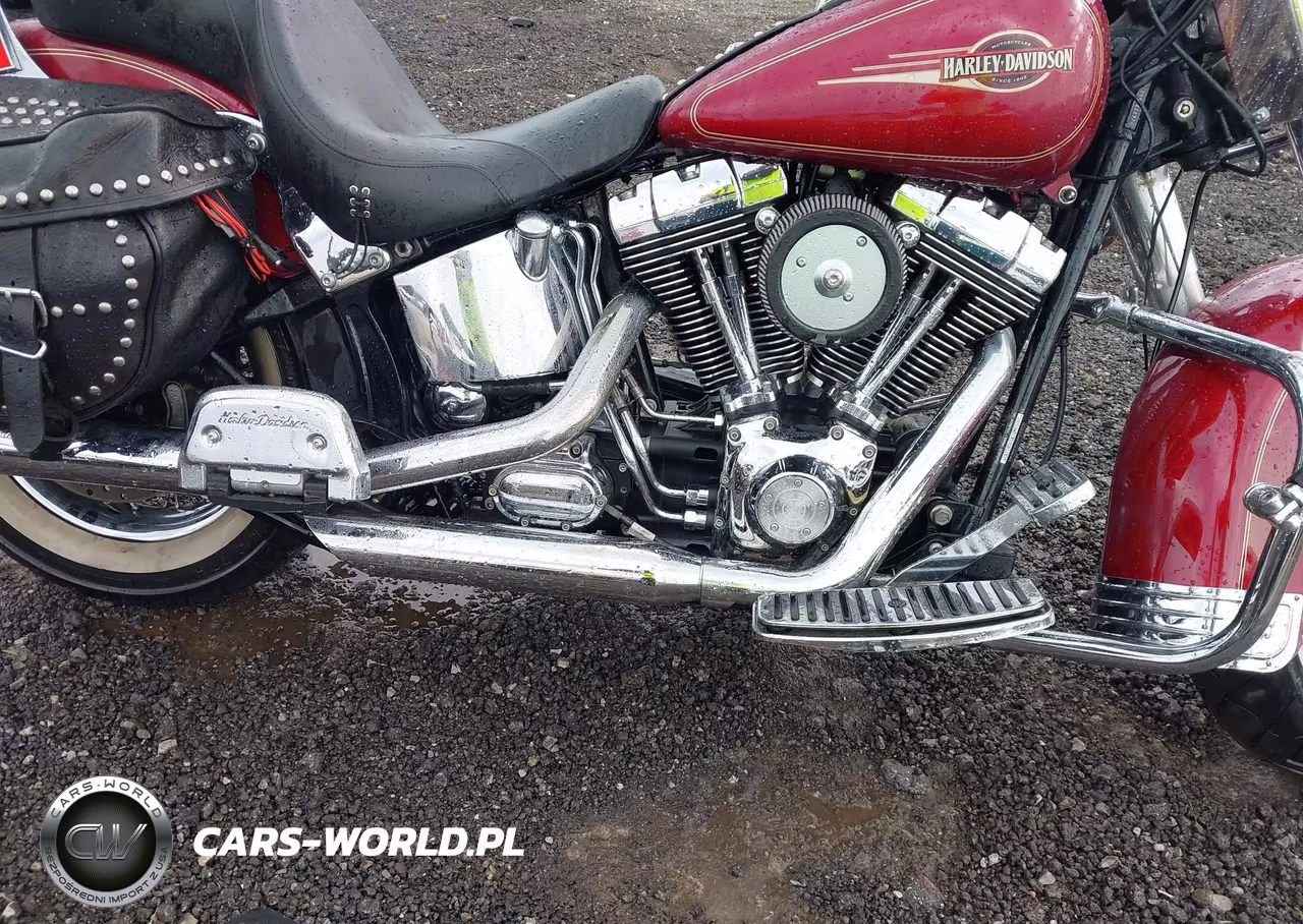 2005 Harley-Davidson Flstci VIN:1HD1BWB1X5Y081197 - 8