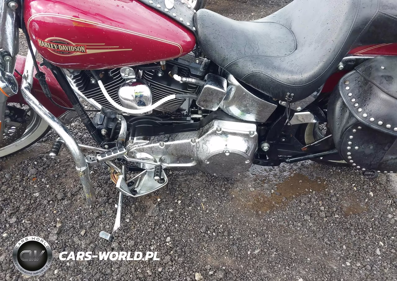 2005 Harley-Davidson Flstci VIN:1HD1BWB1X5Y081197 - 9