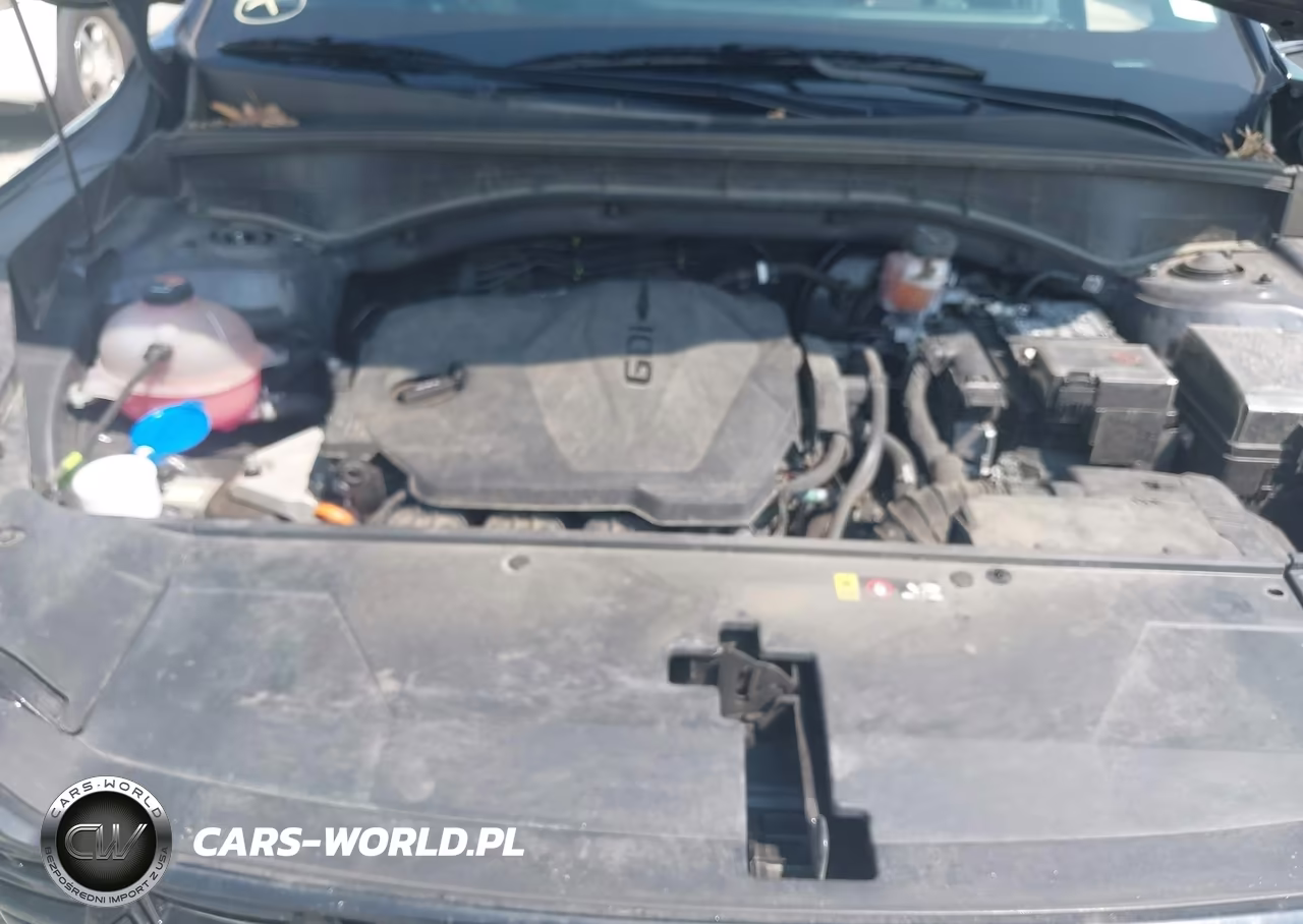 2024 Kia Sorento S VIN:5XYRL4JC3RG282009 - 10