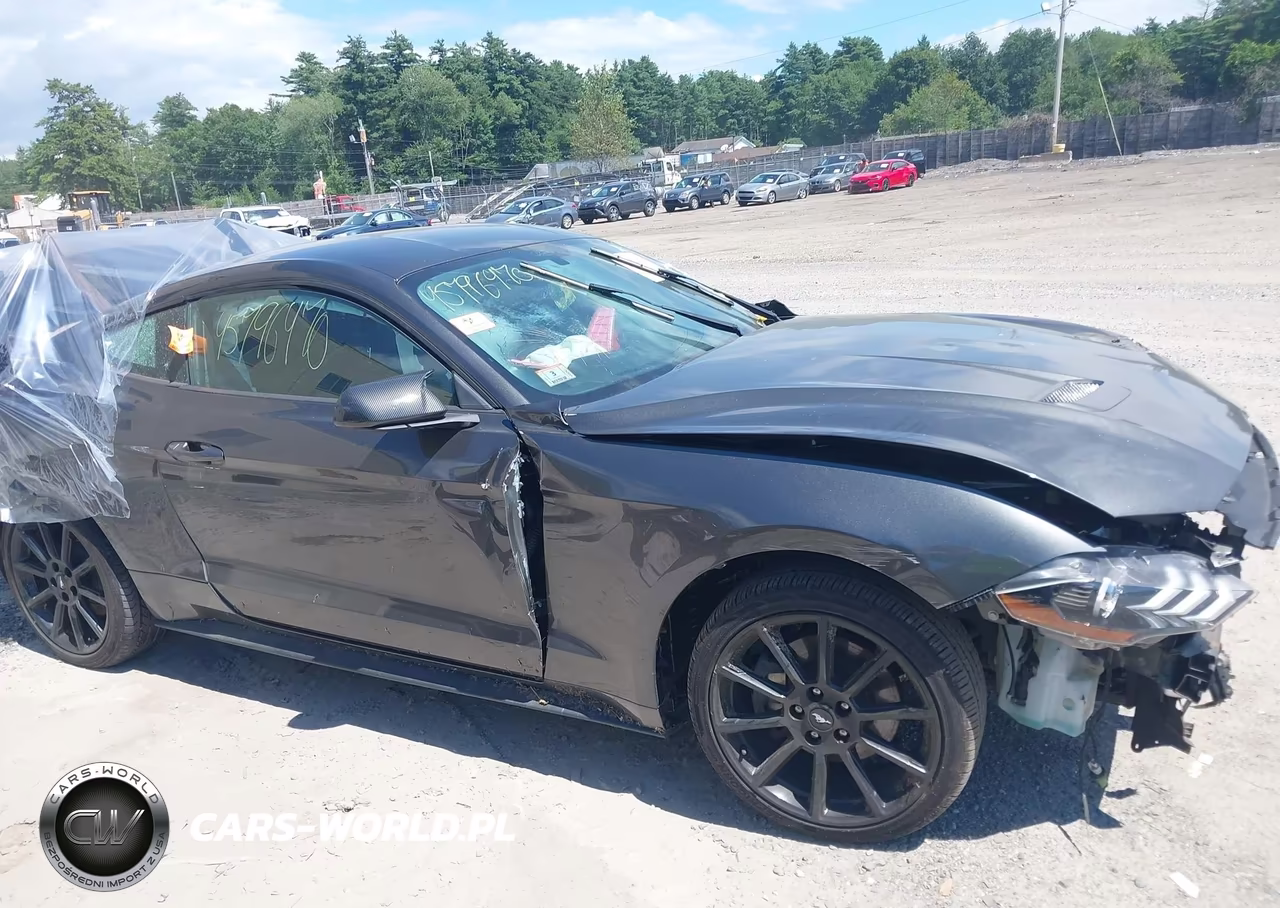2018 Ford Mustang Ecoboost VIN:1FA6P8TH8J5125943 - 14