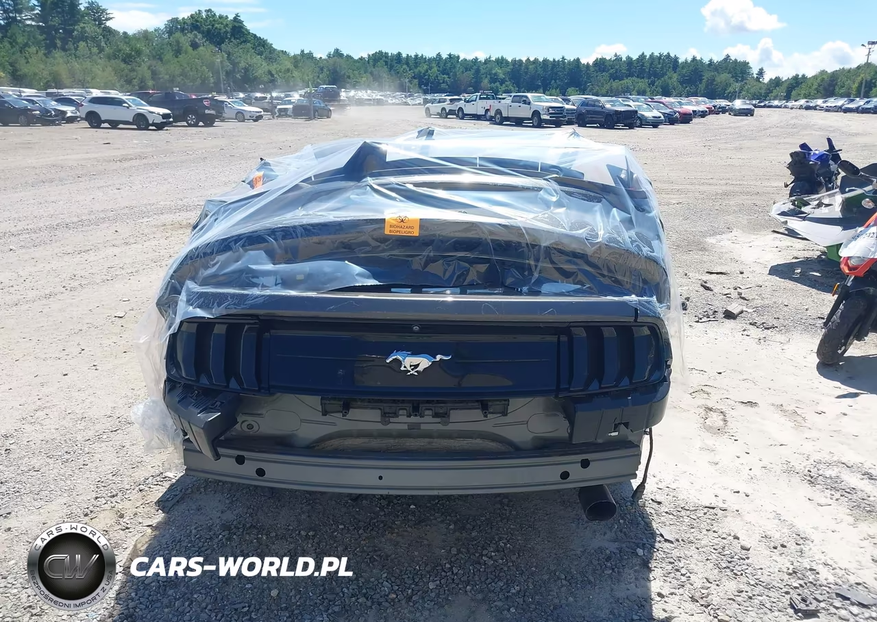 2018 Ford Mustang Ecoboost VIN:1FA6P8TH8J5125943 - 17