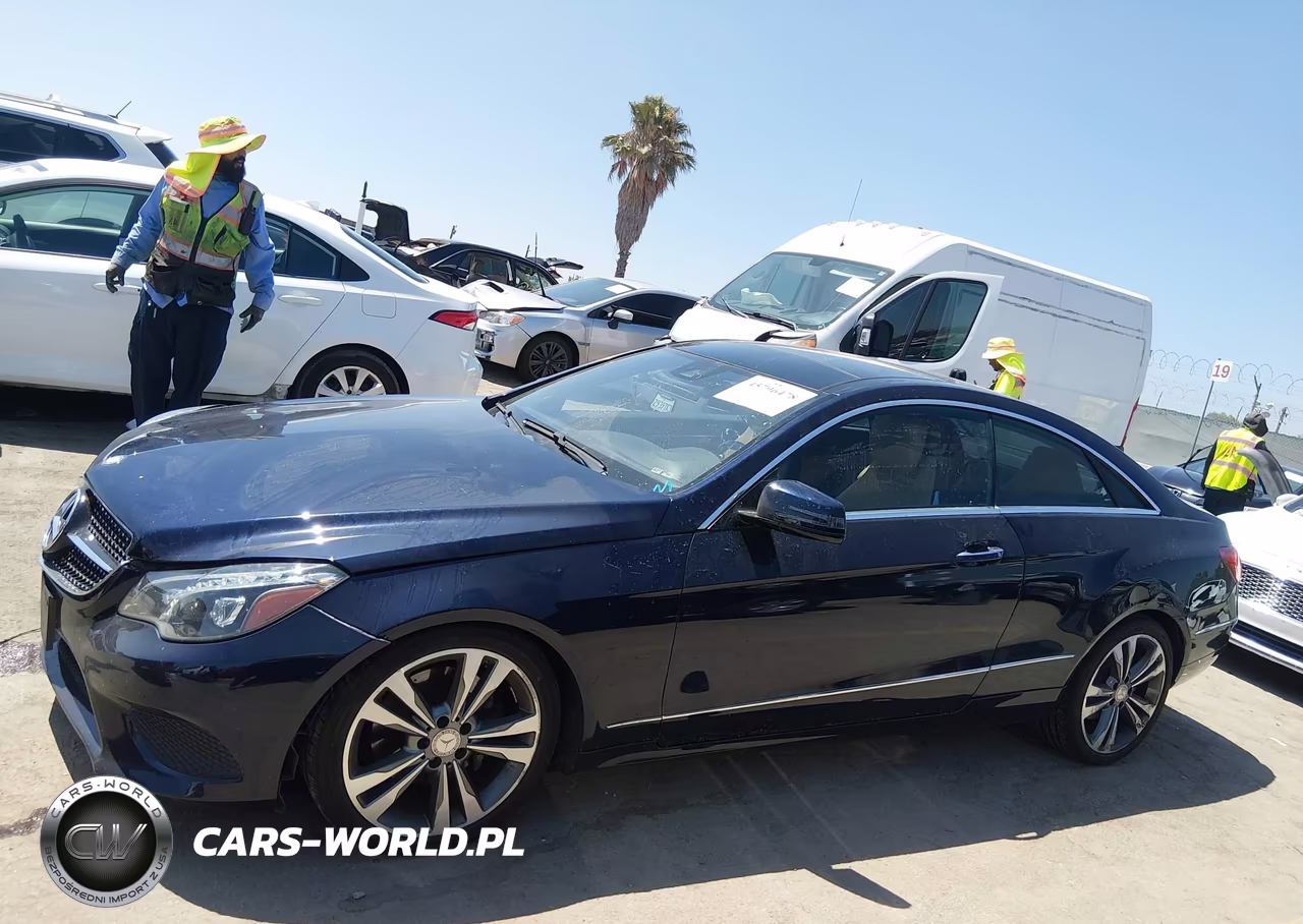 2016 Mercedes-Benz E 400 VIN:WDDKJ6FB9GF314406 - 14