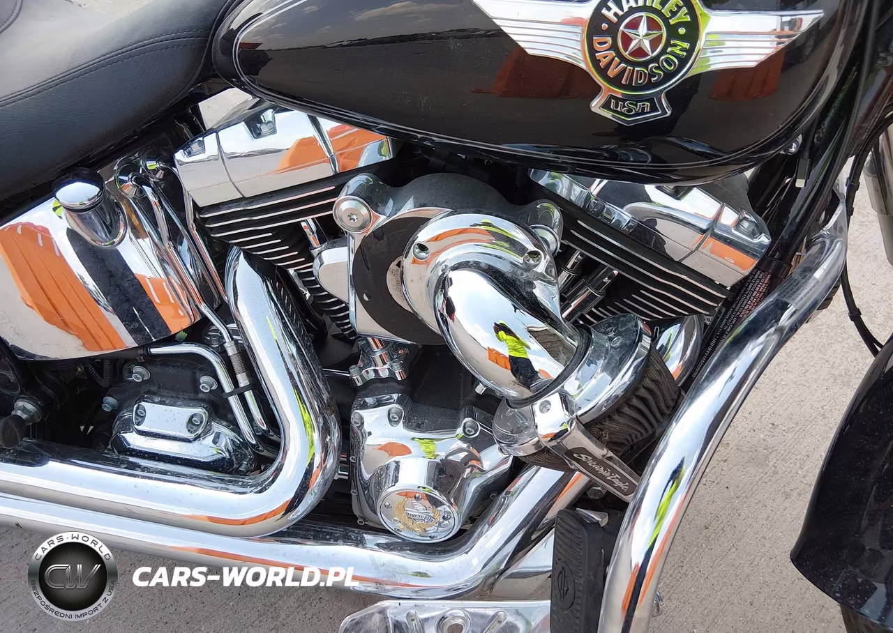 2016 Harley-Davidson Flstf Fatboy VIN:1HD1BXV18GC020755 - 8