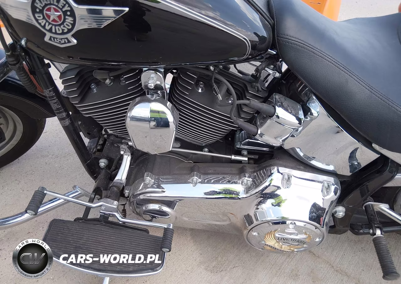 2016 Harley-Davidson Flstf Fatboy VIN:1HD1BXV18GC020755 - 9