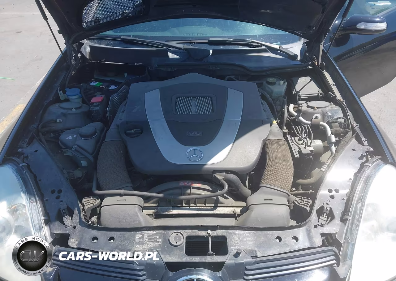 2007 Mercedes-Benz Slk 280 VIN:WDBWK54F47F139330 - 10