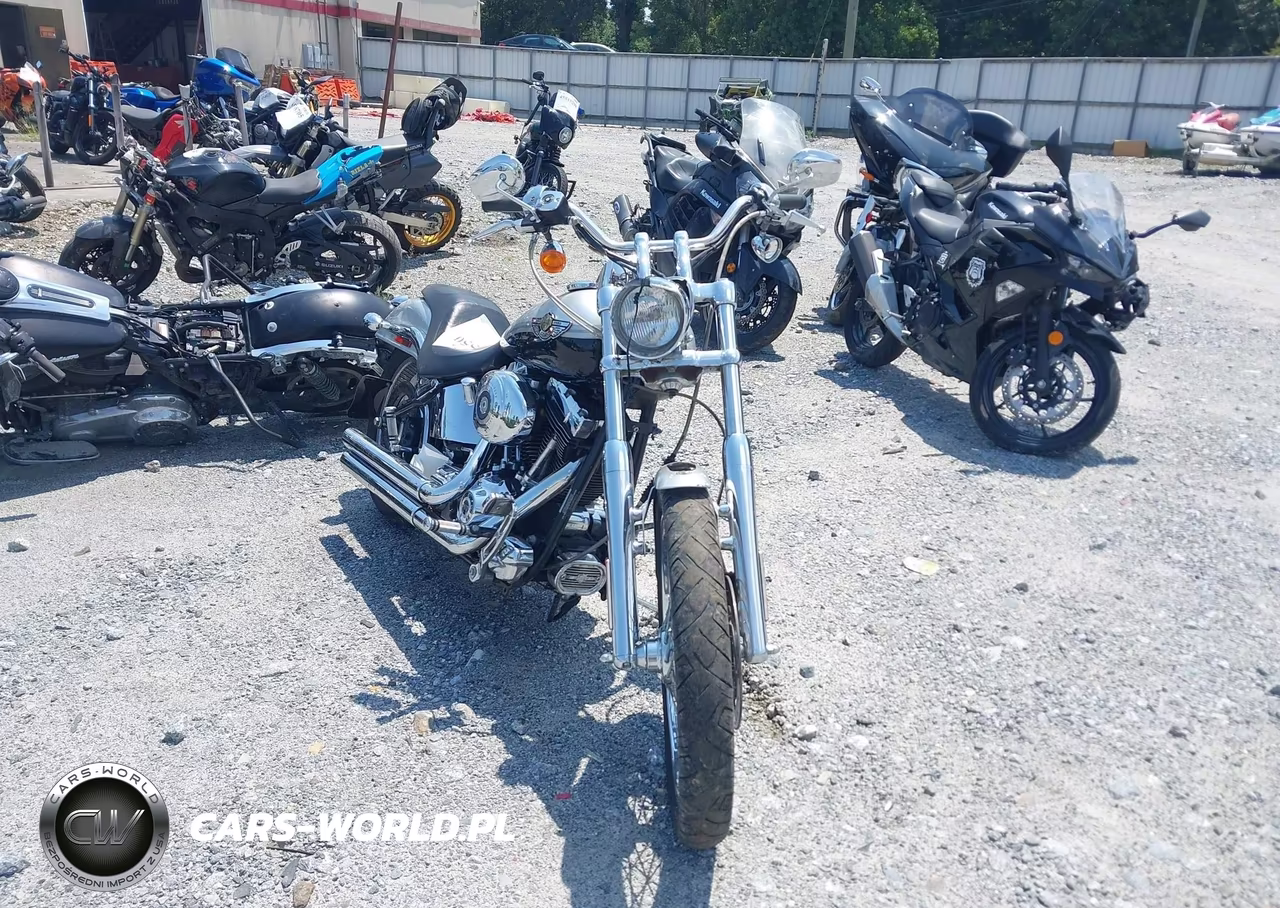 2003 Harley-Davidson Fxstd Anniversary