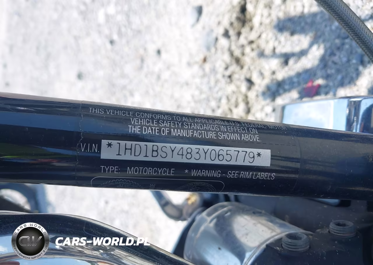 2003 Harley-Davidson Fxstd Anniversary VIN:1HD1BSY483Y065779 - 10