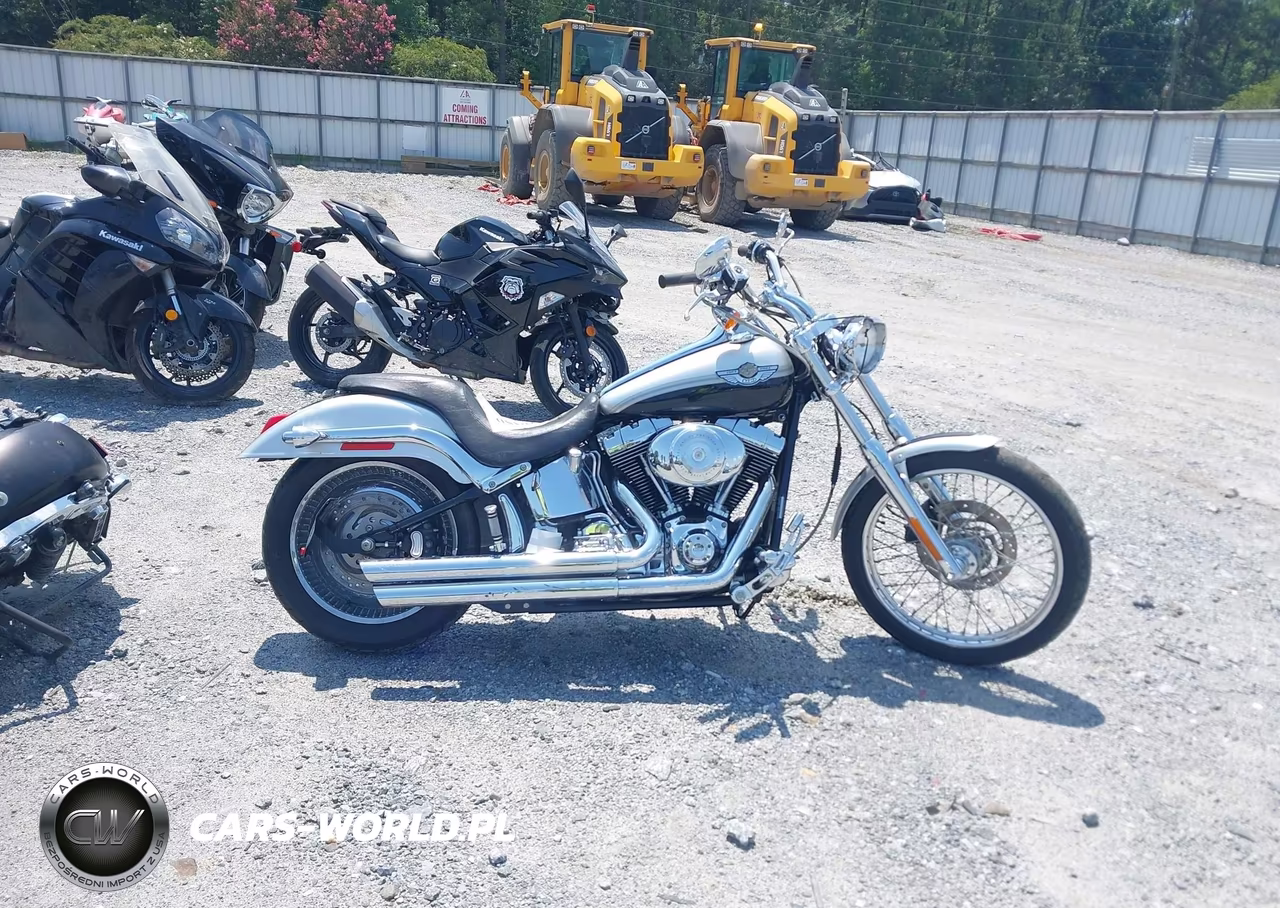 2003 Harley-Davidson Fxstd Anniversary VIN:1HD1BSY483Y065779 - 11