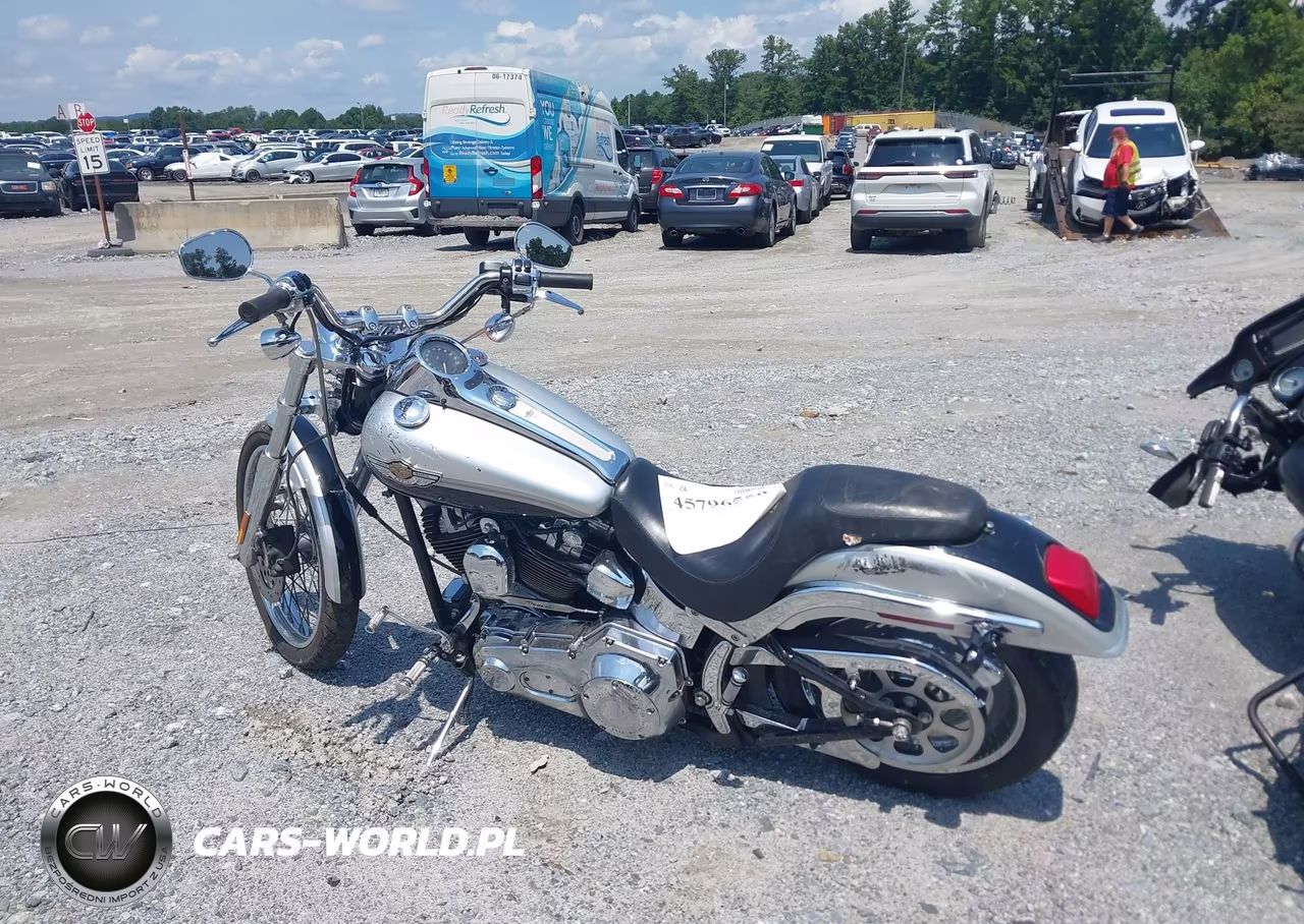 2003 Harley-Davidson Fxstd Anniversary VIN:1HD1BSY483Y065779 - 12