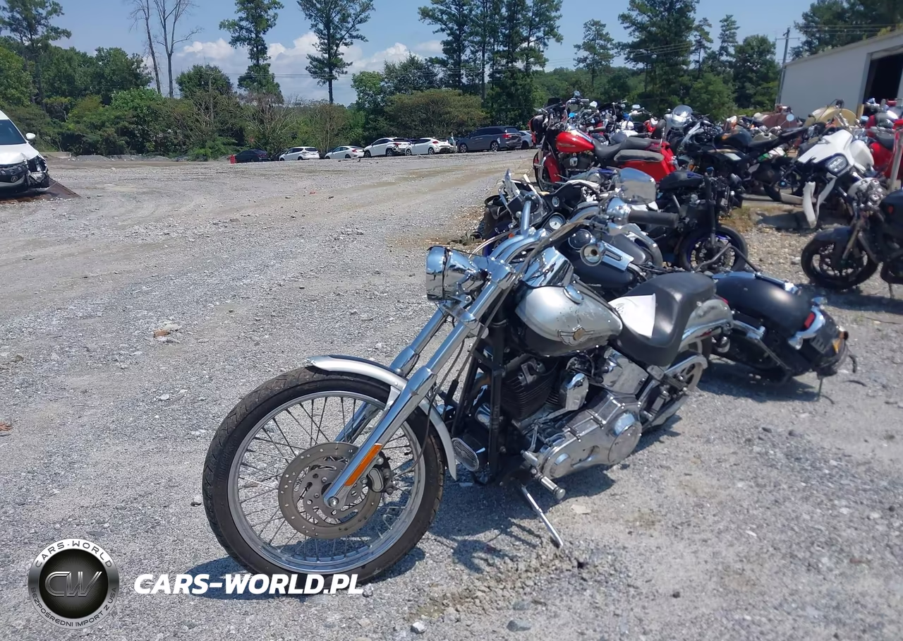 2003 Harley-Davidson Fxstd Anniversary VIN:1HD1BSY483Y065779 - 2