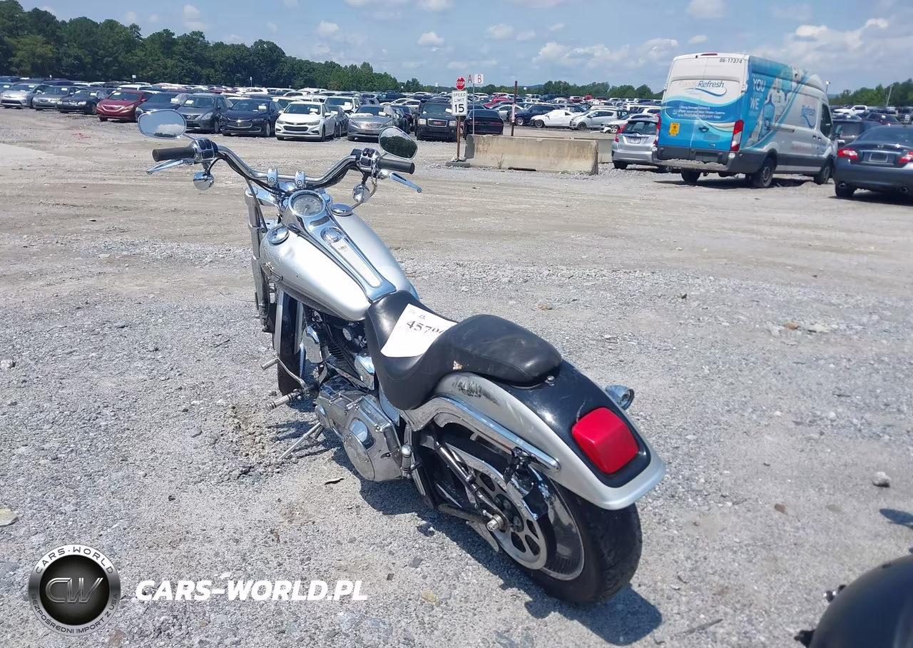 2003 Harley-Davidson Fxstd Anniversary VIN:1HD1BSY483Y065779 - 3