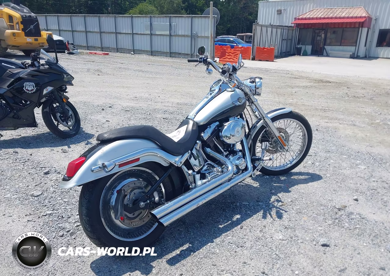 2003 Harley-Davidson Fxstd Anniversary VIN:1HD1BSY483Y065779 - 4
