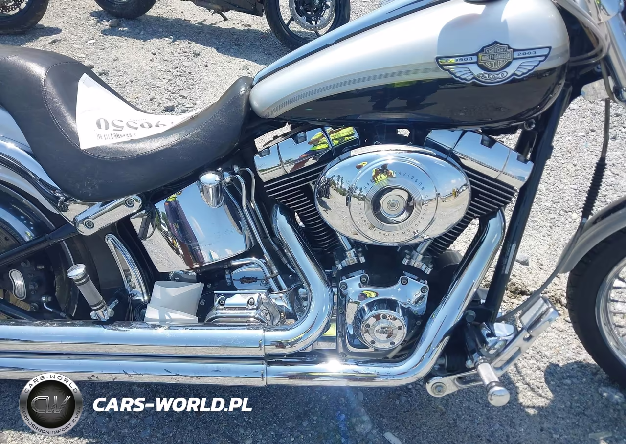 2003 Harley-Davidson Fxstd Anniversary VIN:1HD1BSY483Y065779 - 8