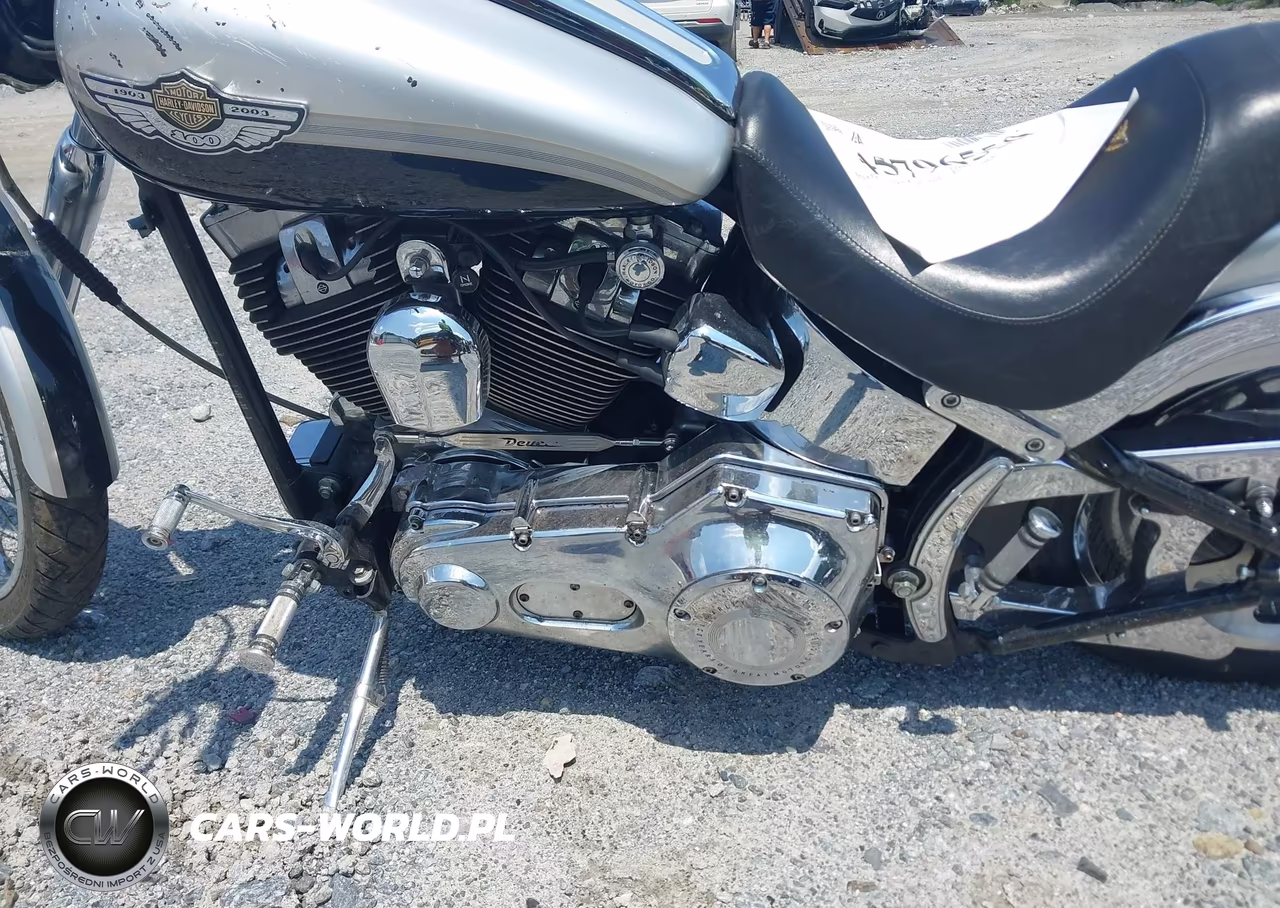 2003 Harley-Davidson Fxstd Anniversary VIN:1HD1BSY483Y065779 - 9