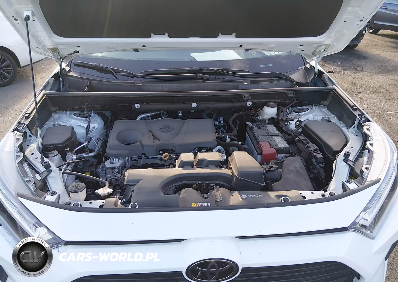 2025 Toyota Rav4 Xle VIN:2T3W1RFV8SW391914 - 10