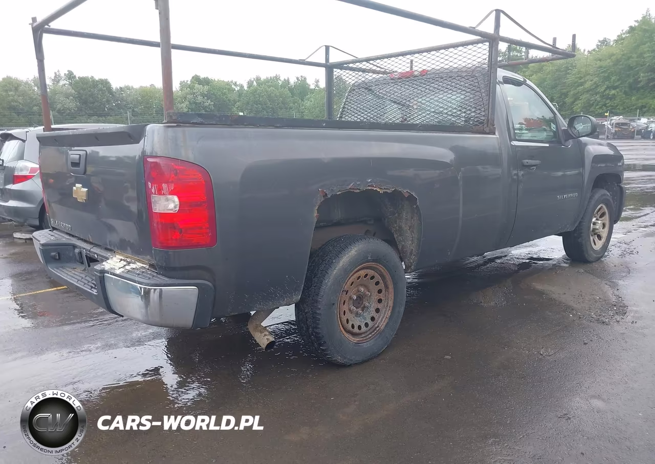 2011 Chevrolet Silverado 1500 Work Truck VIN:1GCNCPEX2BZ289635 - 4