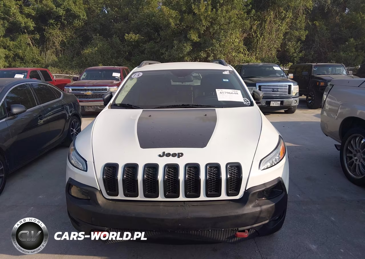 2014 Jeep Cherokee Trailhawk VIN:1C4PJMBS1EW211021 - 12