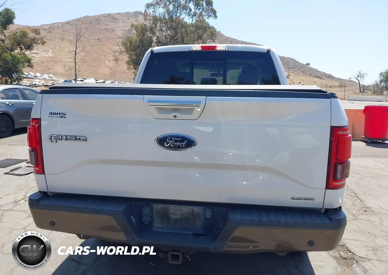 2016 Ford F-150 Lariat VIN:1FTEW1EF3GKE15450 - 16