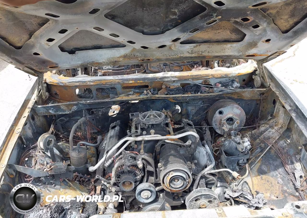 1995 Jeep Grand Cherokee Limited-Orvis VIN:1J4GZ78Y2SC599177 - 10