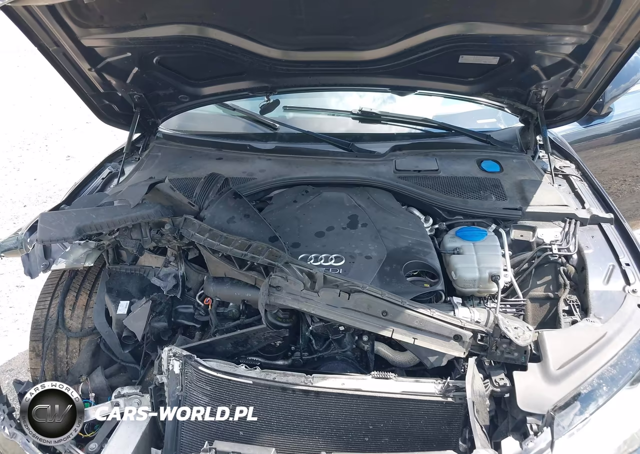 2014 Audi A7 3.0 Tdi Premium Plus VIN:WAUWMAFC4EN113205 - 10
