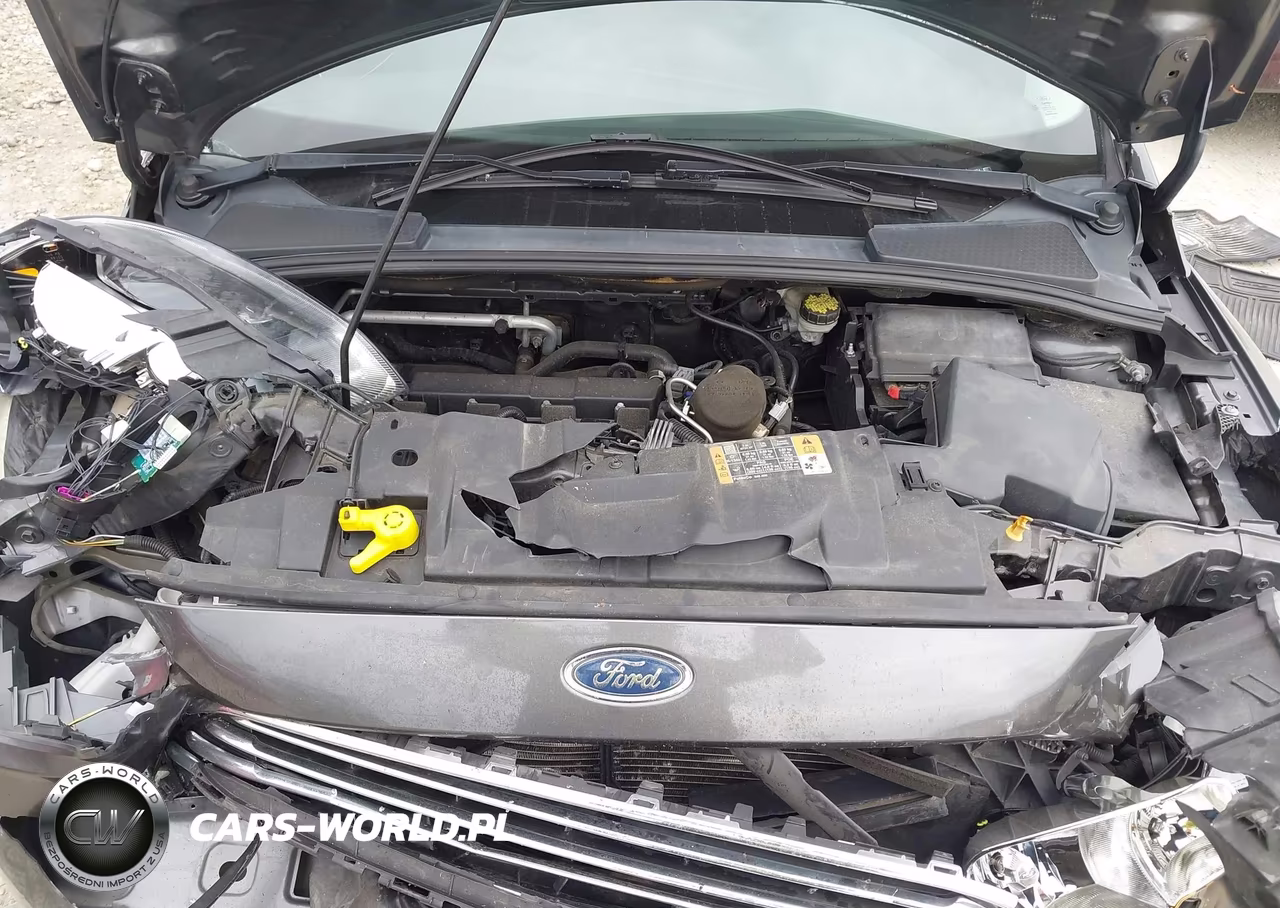 2016 Ford Focus Titanium VIN:1FADP3N2XGL274474 - 10