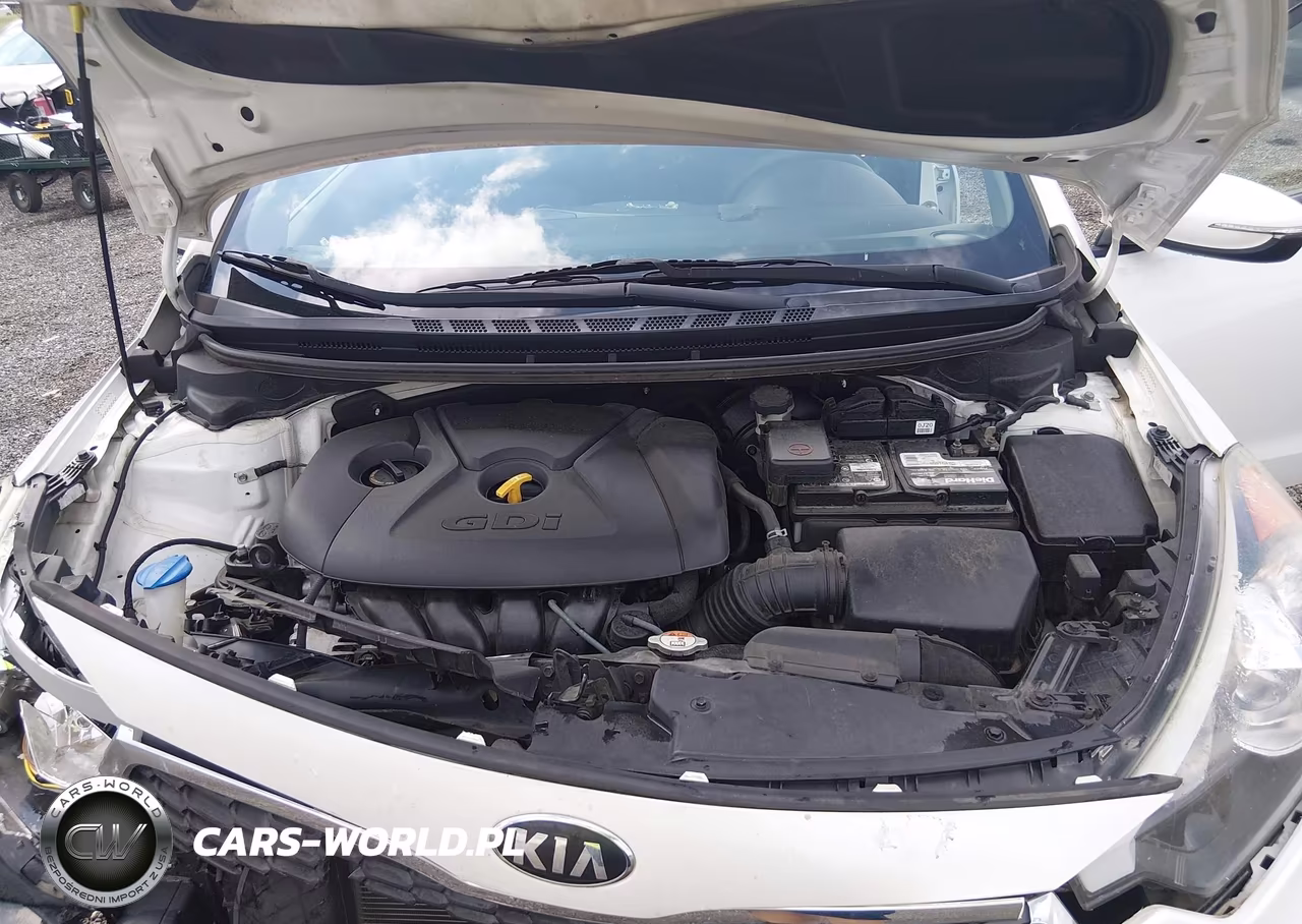 2016 Kia Forte Lx VIN:KNAFK5A81G5592525 - 10