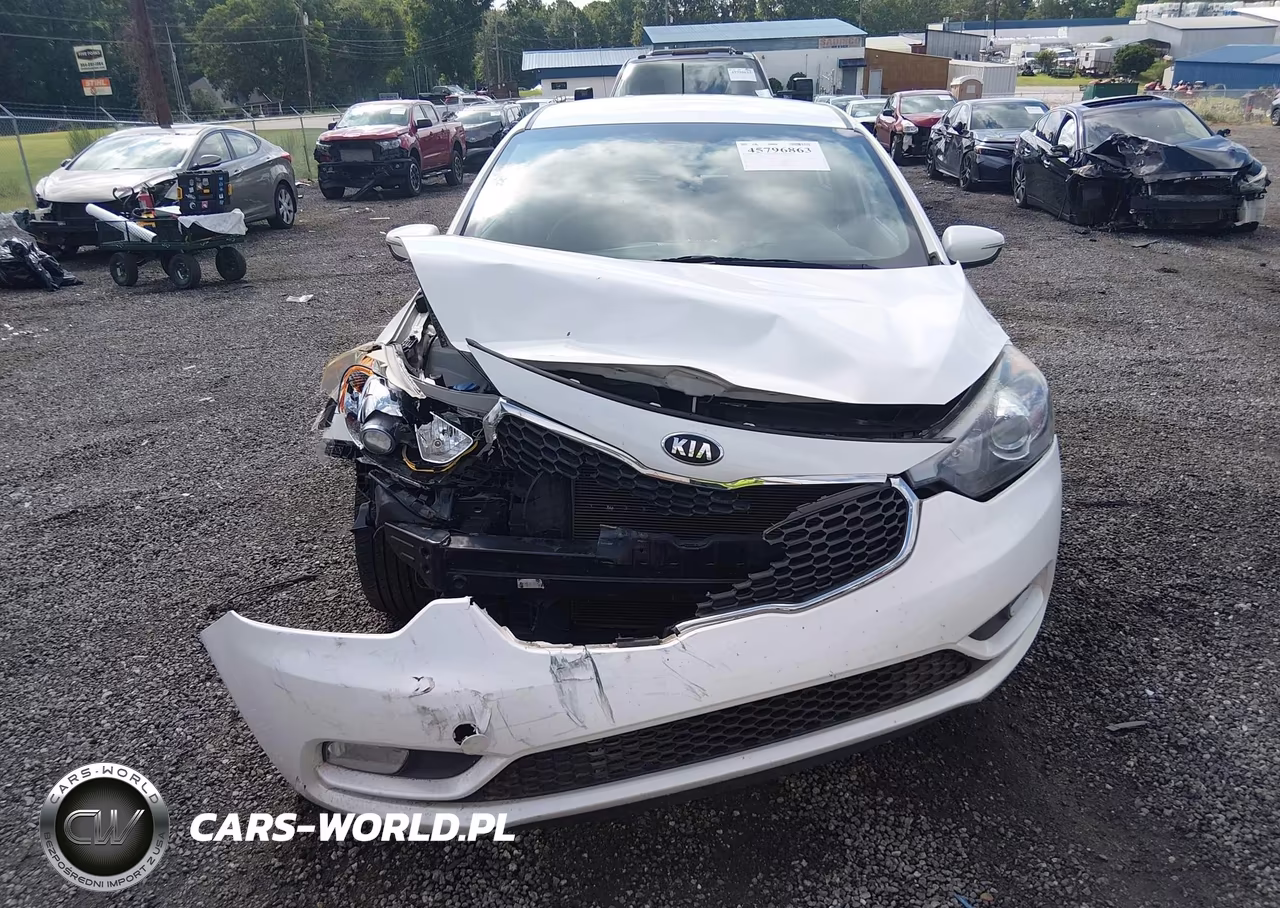 2016 Kia Forte Lx VIN:KNAFK5A81G5592525 - 12
