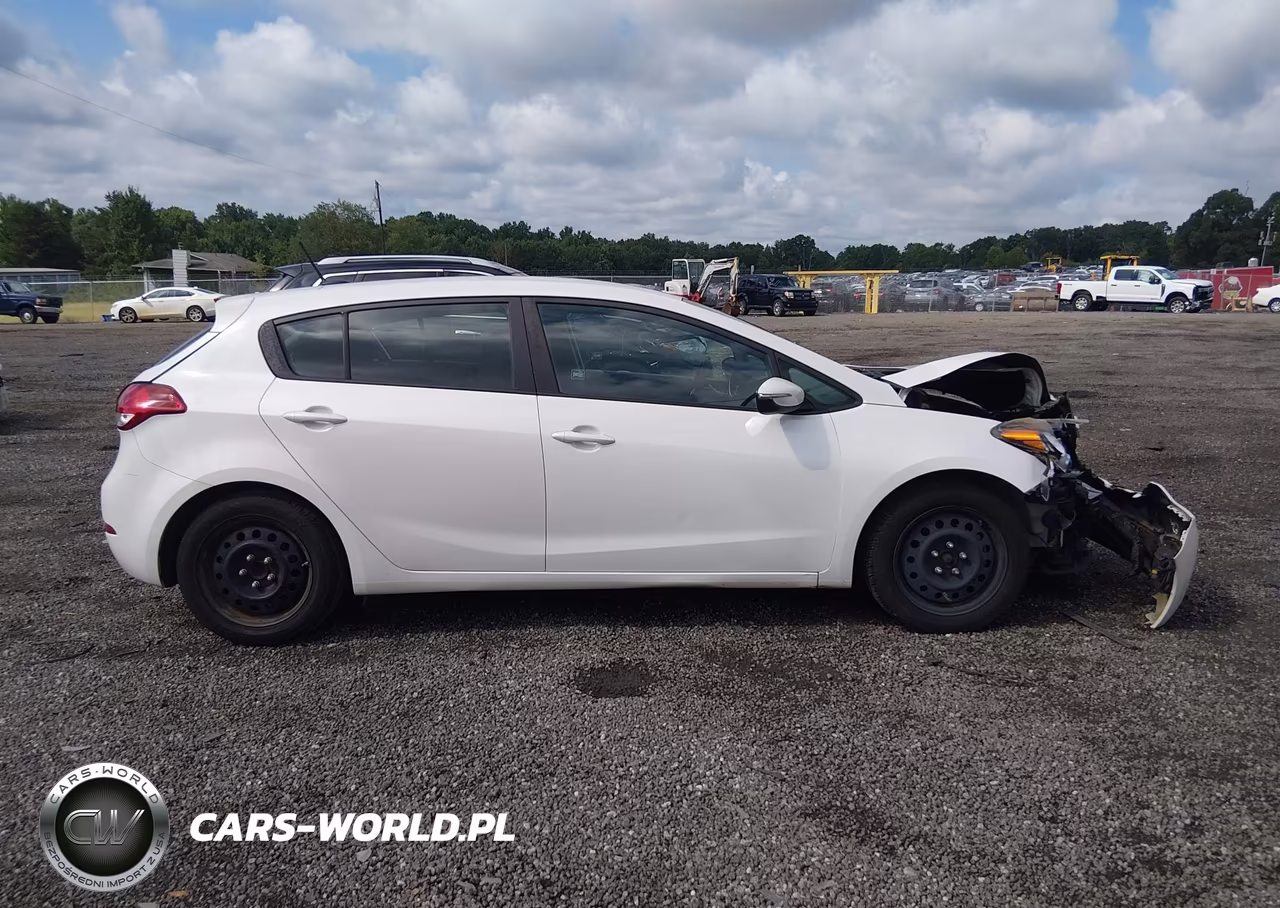 2016 Kia Forte Lx VIN:KNAFK5A81G5592525 - 13